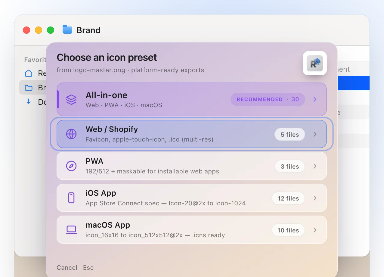 Ricly’s panel Choose an icon preset, listing All-in-one (Pro), Web / Shopify 5 files, PWA 3 files, iOS App 12 files and macOS App 10 files