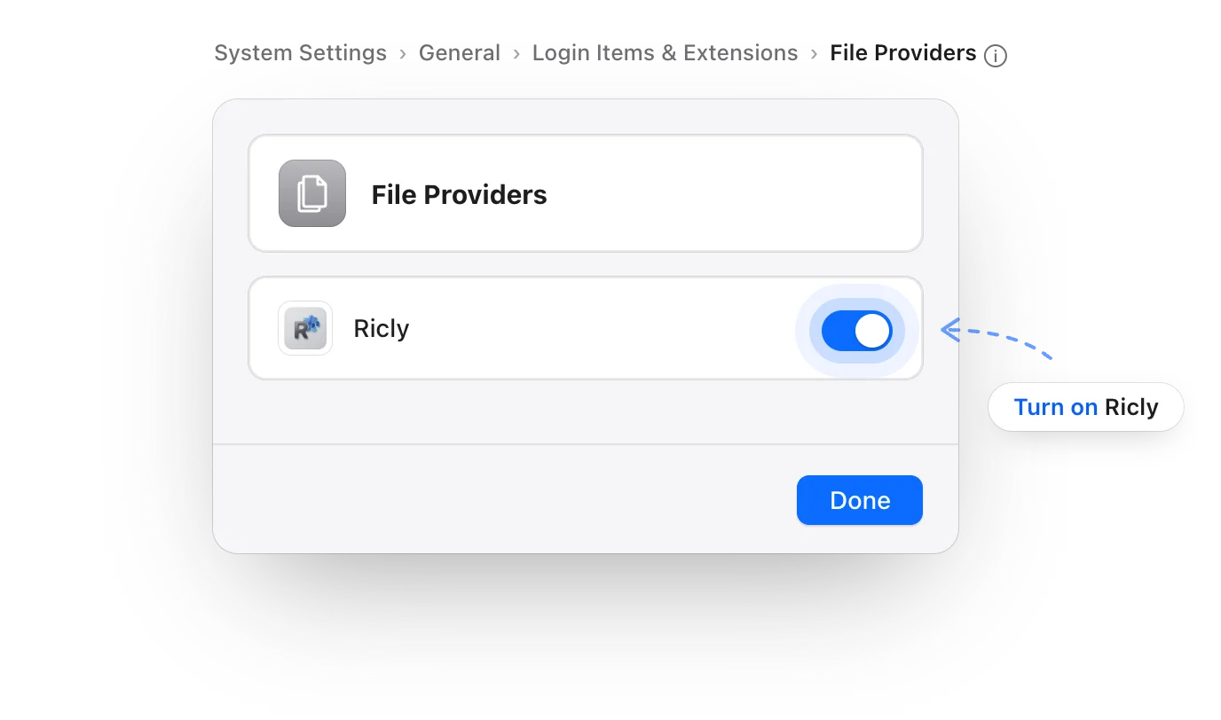In System Settings, the File Providers list with the switch next to Ricly turned on