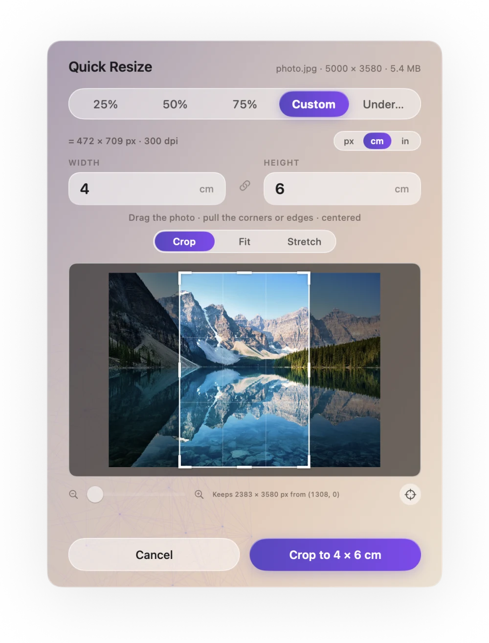 Ricly’s Quick Resize window: a photo set to 4 × 6 cm at 300 dpi, with Crop selected and the button Crop to 4 × 6 cm